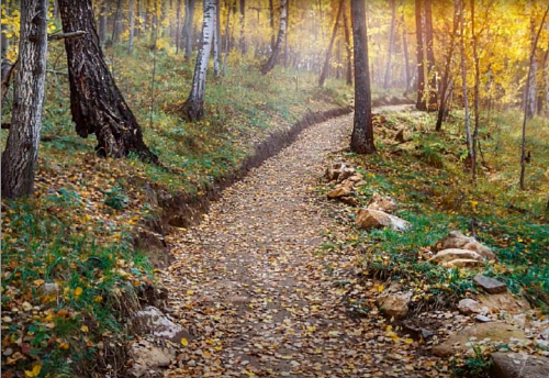 Строительство экотроп в Байкальске